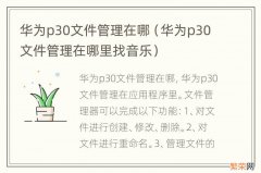 华为p30文件管理在哪里找音乐 华为p30文件管理在哪