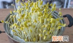 豆芽发芽了还能吃吗 吃豆芽的好处