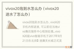 vivox20进水了怎么办 vivox20泡到水怎么办