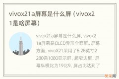 vivox21是啥屏幕 vivox21a屏幕是什么屏
