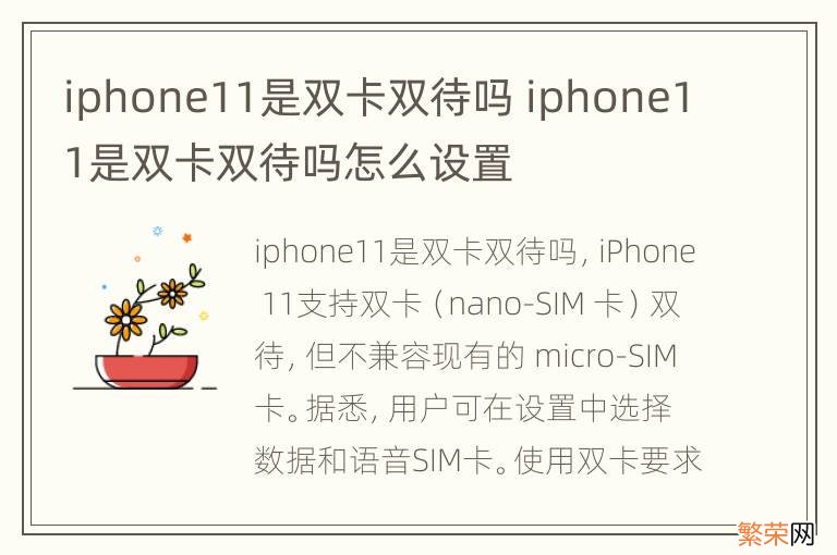 iphone11是双卡双待吗 iphone11是双卡双待吗怎么设置