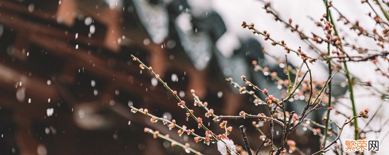 烟雨朦胧的唯美句子 关于烟雨朦胧心情语录