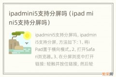 ipad mini5支持分屏吗 ipadmini5支持分屏吗