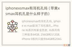 苹果xsmax耳机孔是什么样子的 iphonexsmax有耳机孔吗