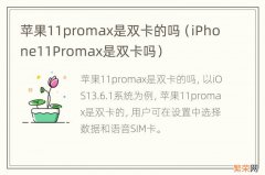 iPhone11Promax是双卡吗 苹果11promax是双卡的吗