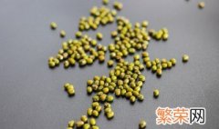 用纸种绿豆的过程图片 纸上种菜绿豆要泡多少分钟