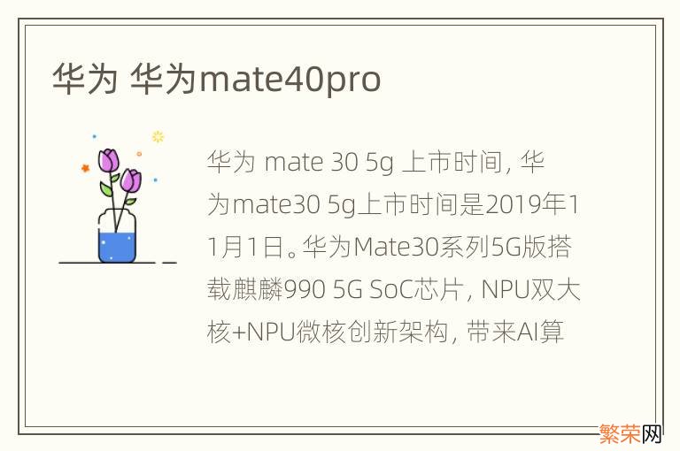 华为 华为mate40pro