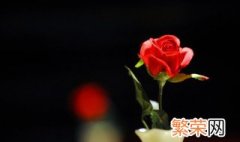情人节是西方的还是中国传统节日 情人节是西方的节日吗
