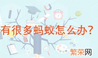 家里蚂蚁多怎么处理 这些方法都非常有用