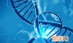 生物是不是包括动物和植物 生物包括植物和动物吗