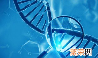 生物是不是包括动物和植物 生物包括植物和动物吗