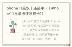 iPhone11是单卡还是双卡? iphone11是双卡还是单卡