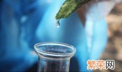 鲜丝瓜水怎么保存 鲜丝瓜水的保存方法