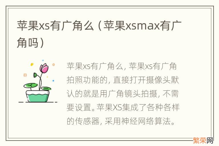 苹果xsmax有广角吗 苹果xs有广角么