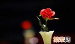 29朵玫瑰花是什么意思 29朵玫瑰花的意思