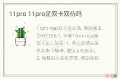 11pro 11pro是双卡双待吗