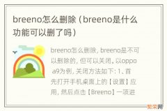 breeno是什么功能可以删了吗 breeno怎么删除