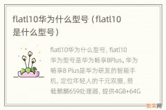 flatl10是什么型号 flatl10华为什么型号