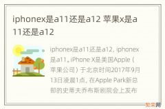 iphonex是a11还是a12 苹果x是a11还是a12