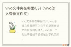 vivo怎么查看文件夹 vivo文件夹在哪里打开