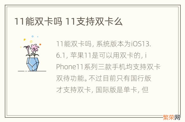 11能双卡吗 11支持双卡么