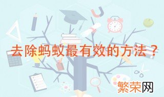 怎样去除蚂蚁最有效的方法 这四种方法见效最快