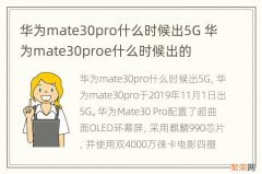 华为mate30pro什么时候出5G 华为mate30proe什么时候出的