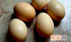 鸡蛋壳怎么做肥料 鸡蛋壳做肥料的方法