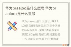 华为praaloo是什么型号 华为praaloox是什么型号