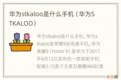 华为STKALOO 华为stkaloo是什么手机