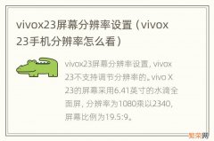 vivox23手机分辨率怎么看 vivox23屏幕分辨率设置