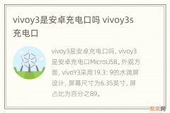 vivoy3是安卓充电口吗 vivoy3s充电口