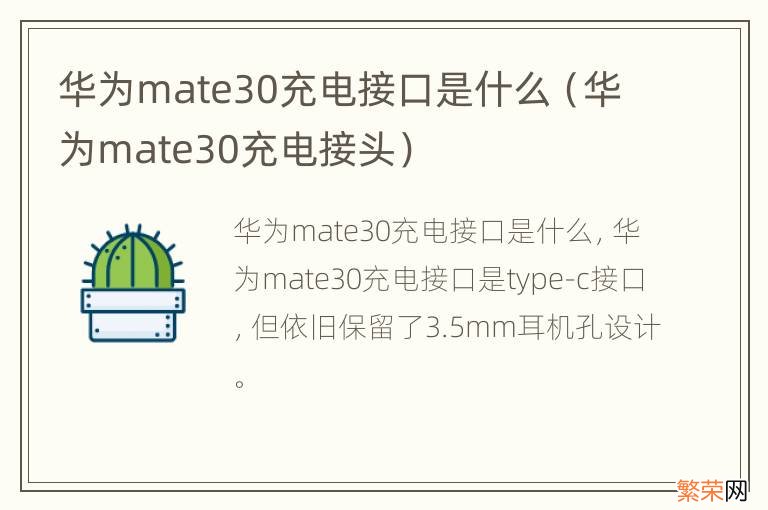 华为mate30充电接头 华为mate30充电接口是什么