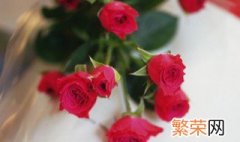 玫瑰花要怎样修枝 玫瑰花需要修剪枝叶吗怎么修