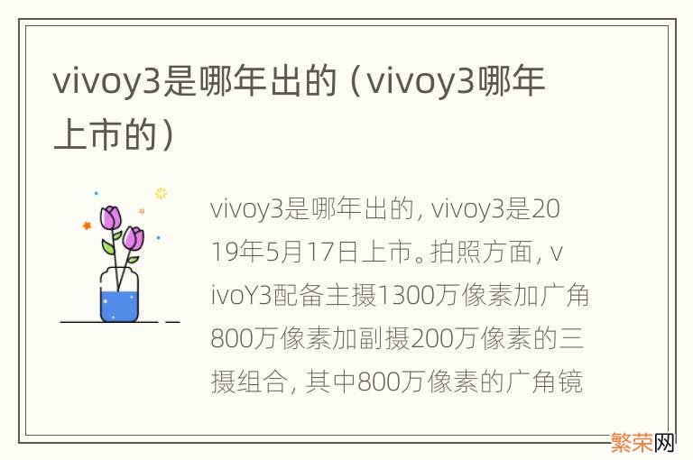 vivoy3哪年上市的 vivoy3是哪年出的