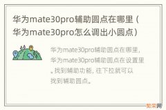 华为mate30pro怎么调出小圆点 华为mate30pro辅助圆点在哪里