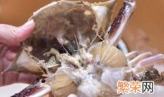 螃蟹如何清洗处理 螃蟹怎么清洗处理
