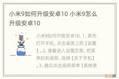 小米9如何升级安卓10 小米9怎么升级安卓10