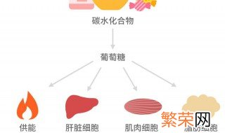 人体热能最主要的来源是什么 人体热能最主要的来源介绍