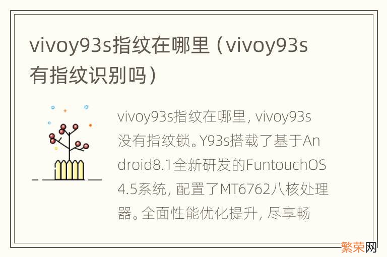 vivoy93s有指纹识别吗 vivoy93s指纹在哪里