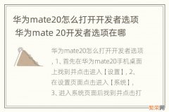 华为mate20怎么打开开发者选项 华为mate 20开发者选项在哪