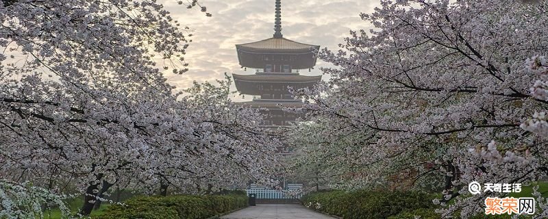 赤峰市春季赏花去哪里 推荐赤峰市春季赏花好去处