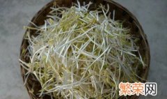 自种绿豆芽的种植方法 绿豆芽家族种植方法分享