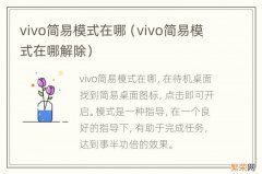 vivo简易模式在哪解除 vivo简易模式在哪