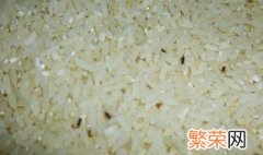 大米有虫如何处理 大米有虫3种处理方法介绍