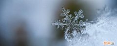 雪花的形状具备什么特点 雪花最基本的形状是什么什么和什么