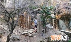 鸡舍搭建方法 鸡舍如何搭建