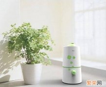 加湿器安全吗有危害吗 加湿器安全吗