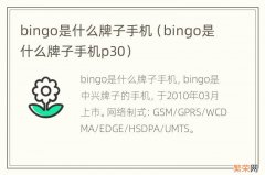 bingo是什么牌子手机p30 bingo是什么牌子手机