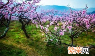 三月的桃花水是指什么? 答案 三月的桃花水是指什么